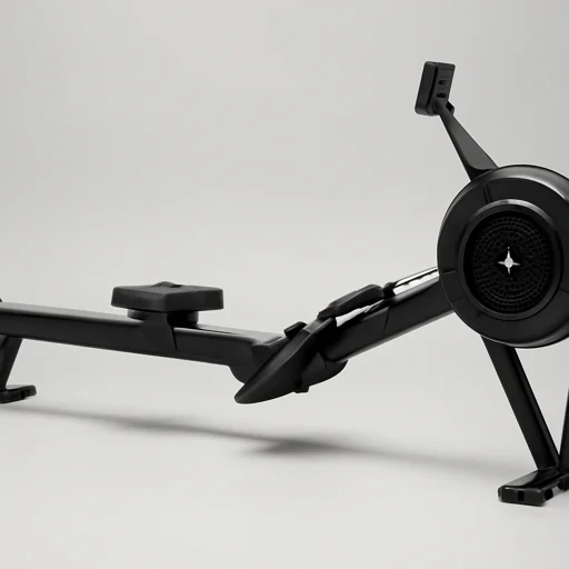 Rogue Echo Rower view 3