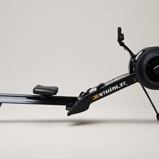 Concept2 RowErg view 3