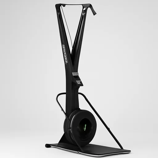 Concept2 SkiErg view 2